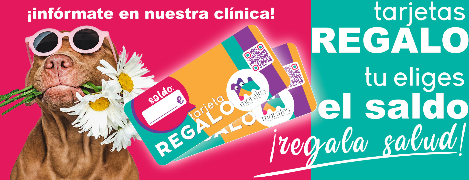 Regalo de Tarjetas con Bonos para tus seres queridos y sus mascotas!