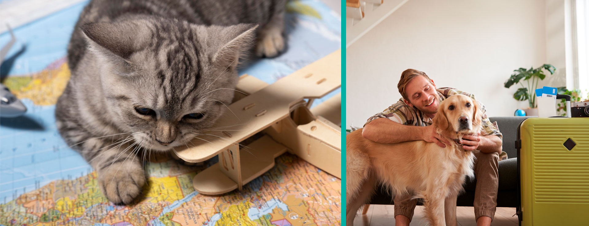 Tramites de Cexgan en tenerife